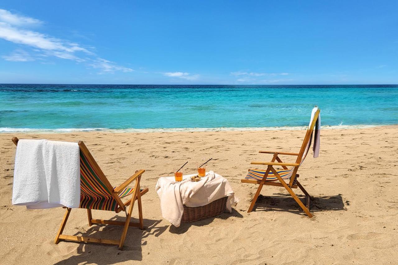 Luxury Suites & Apartment Con Accesso Alla Spiaggia E Parcheggio Privato - Vista Mare Lido Conchiglia Eksteriør billede