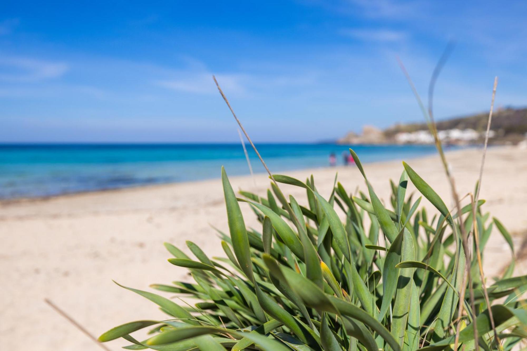 Luxury Suites & Apartment Con Accesso Alla Spiaggia E Parcheggio Privato - Vista Mare Lido Conchiglia Eksteriør billede